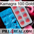 Kamagra 100 Gold new14